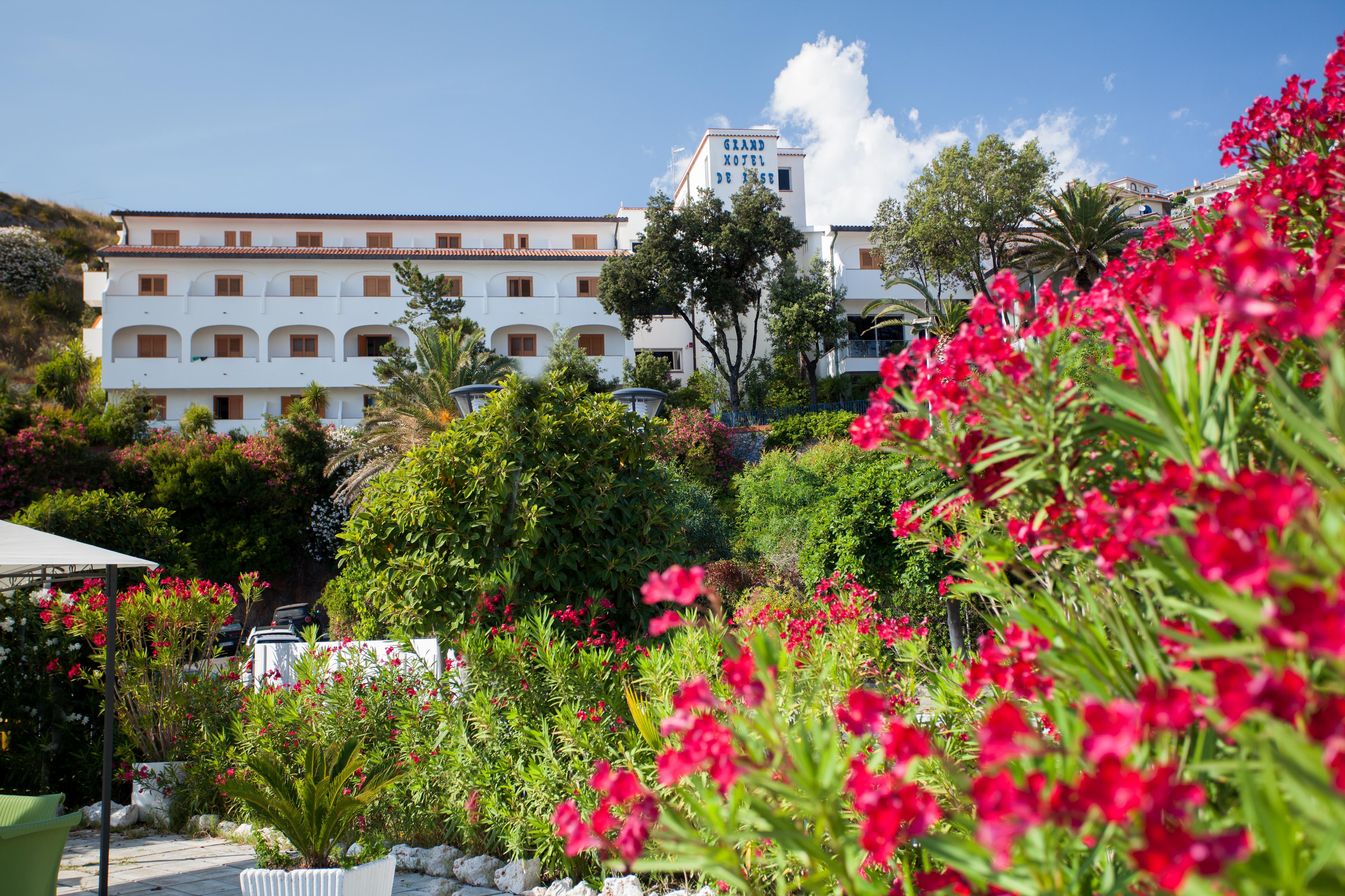 Grand Hotel De Rose Scalea Eksteriør billede